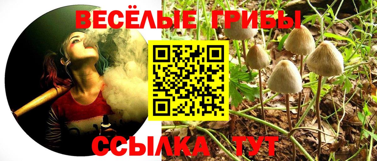 Галлюциногенные грибы Cubensis Лянтор