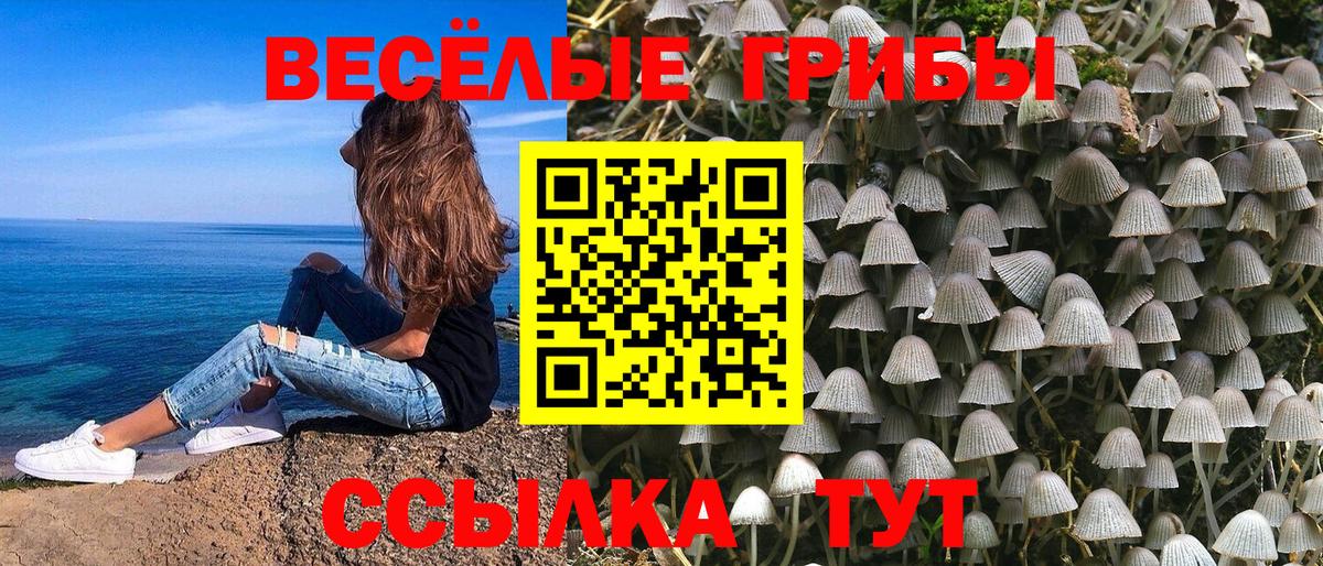 Лянтор  Галлюциногенные грибы Psilocybine cubensis  наркотики  Псилоцибиновые грибы Psilocybe  Вход с VPN 